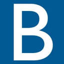 Bludis logo