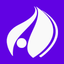 Palo Tinto Networks logo