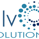 DLV Solutions logo